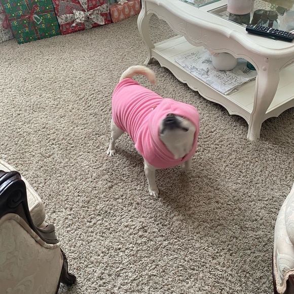 Meet your Posher, Sarah - Picture 3 of 8